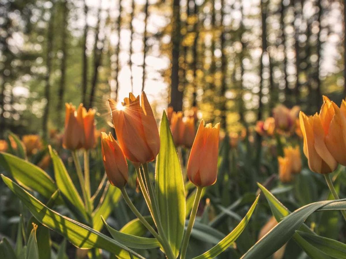 Surface Laptop 7 thumbnail 3